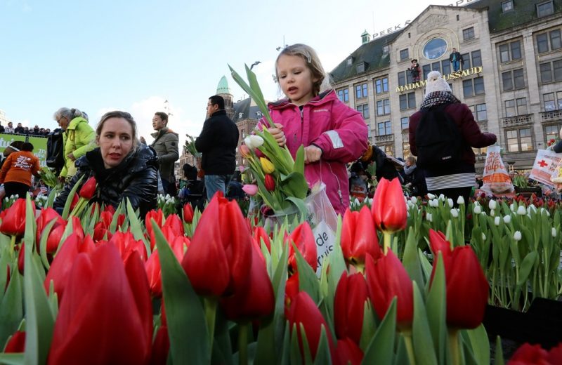 National Tulip Day Amsterdam Winter Festival Amsterdam