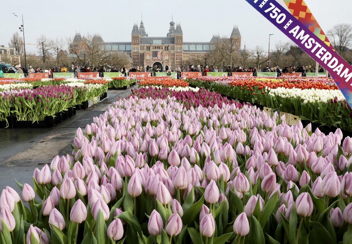 National Tulip Day Holland